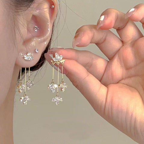 Elegant Long Earrings